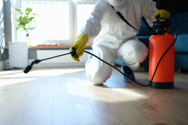 Reliable Odor Removal contractor in Redmond, WA by Crime Scene Cleaner Online